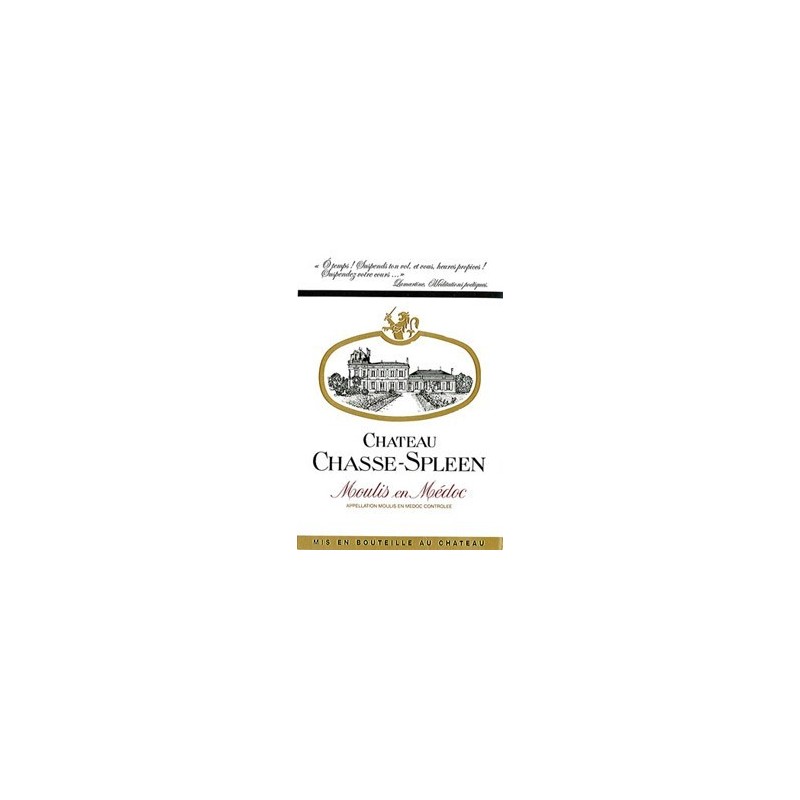 Château Chasse Spleen 1995 Château Chasse Spleen 1995