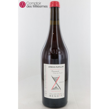 Ploussard Côte de Feule 2023 - Cellier Saint Benoit