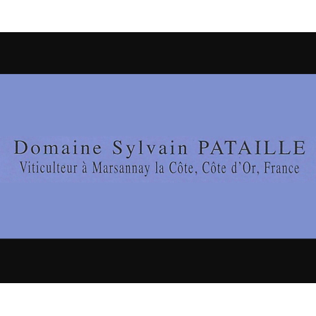 Bourgogne Red 2023 -...