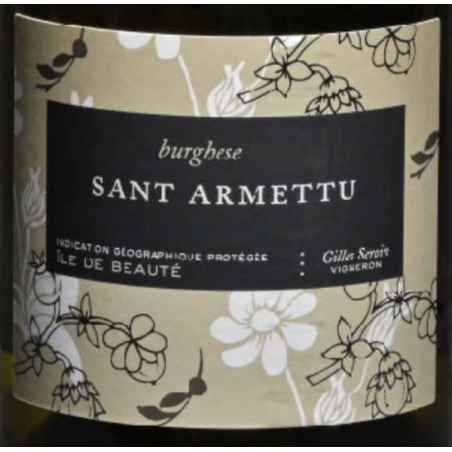Burghese Blanc 2021 - Sant...