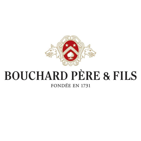 Savigny Lès Beaune 2021 -...