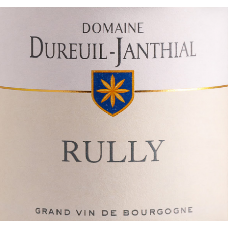 Rully red 2023 -...