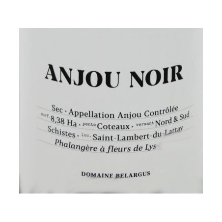 Anjou Noir 2023 - Domaine...
