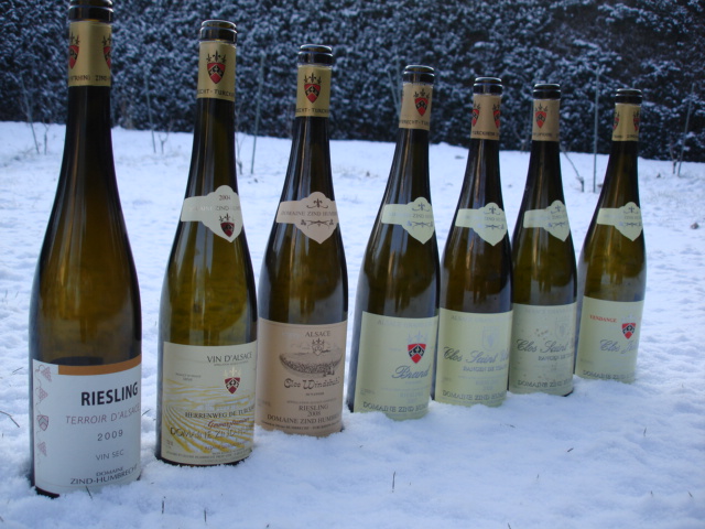 achat grands crus alsace meillleurs millesimes