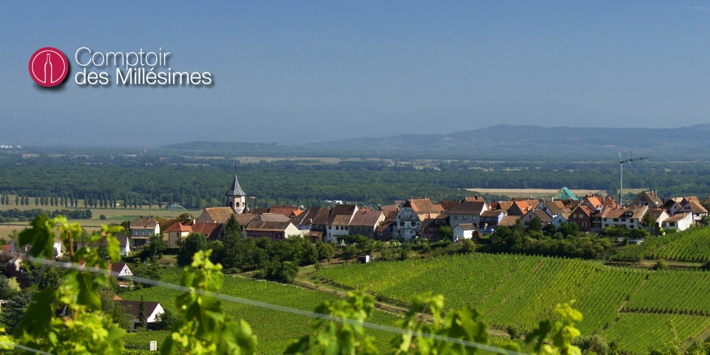 alsace comptoir des millesimes