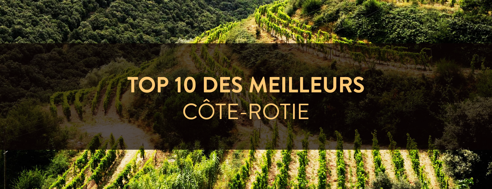 Vin Côte Rôtie Les Meilleurs Millésimes Et Domaines De - 