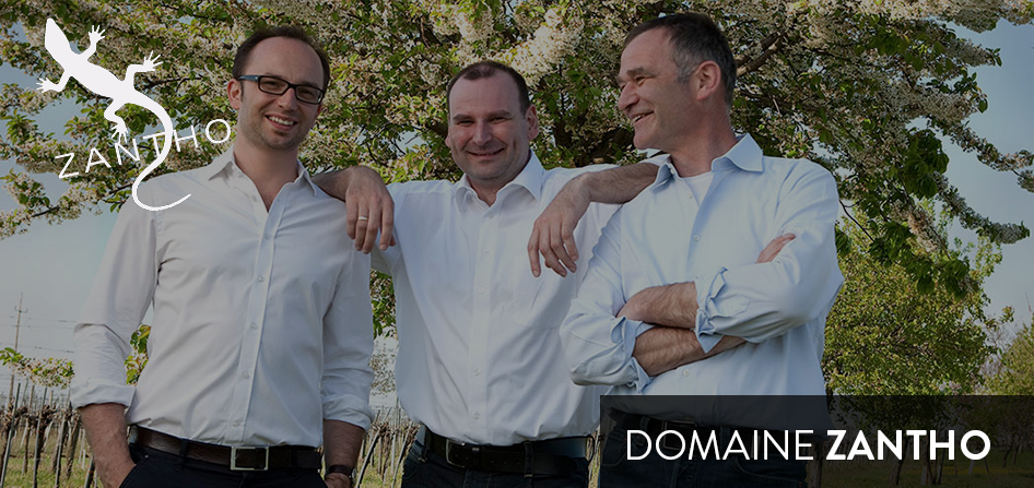 domaine zantho grands vins de glace