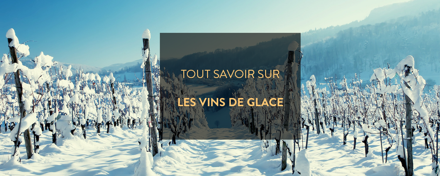 tout savoir sur les vins de glace