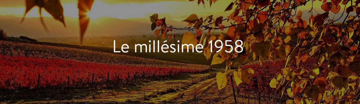 grands vins de 1958 au meilleur prix