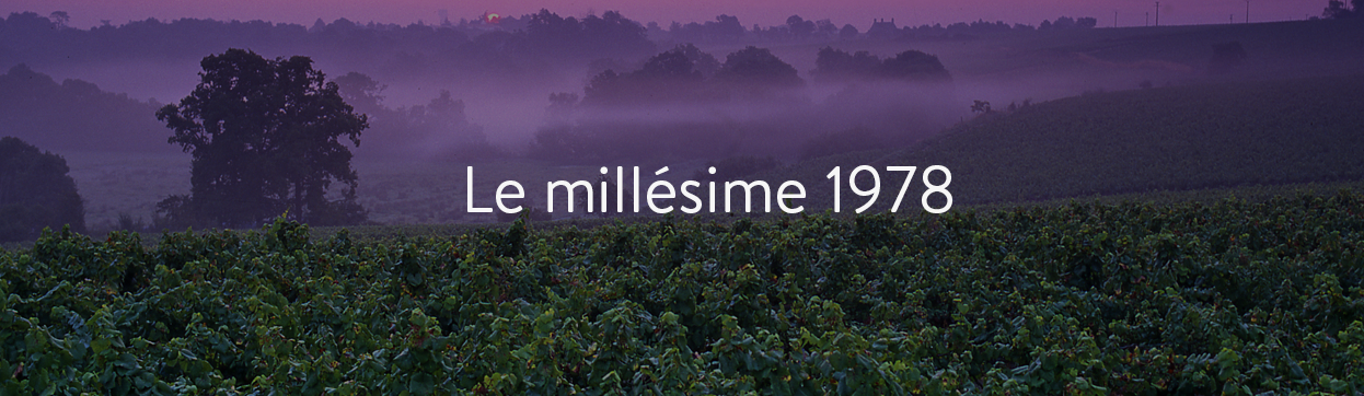 grands vins de 1978 au meilleur prix