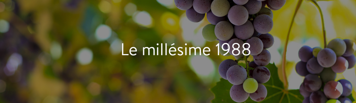 grands vins de 1988 au meilleur prix