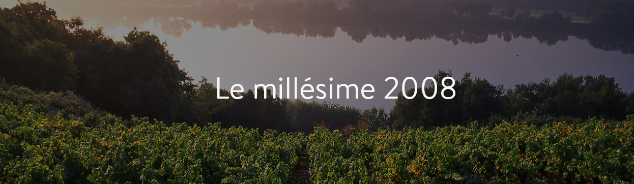 grands vins de 2008 au meilleur prix