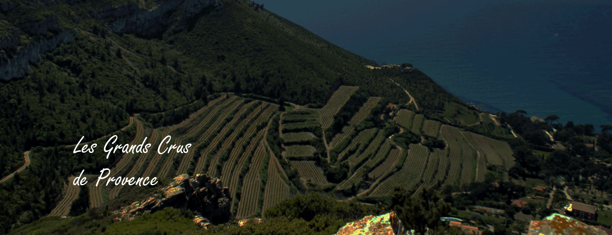 Achat-grands-vins-Provence-au-meilleur-prix