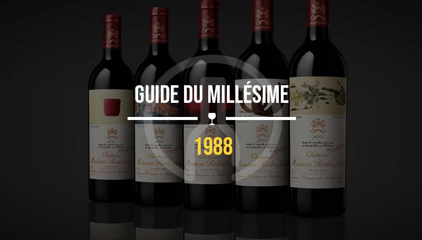 1988-vin guide et avis