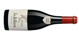 domaine les pallieres les racines gigondas