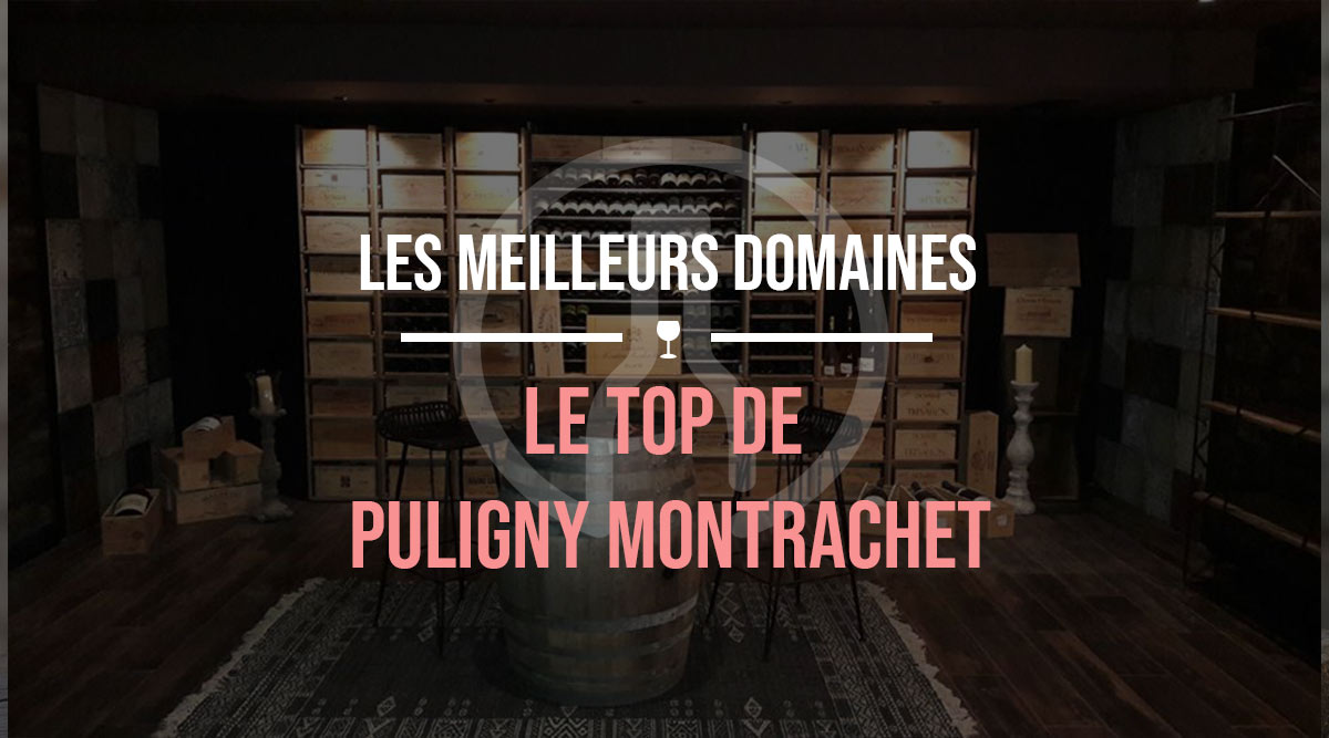 meilleurs domaines de puligny