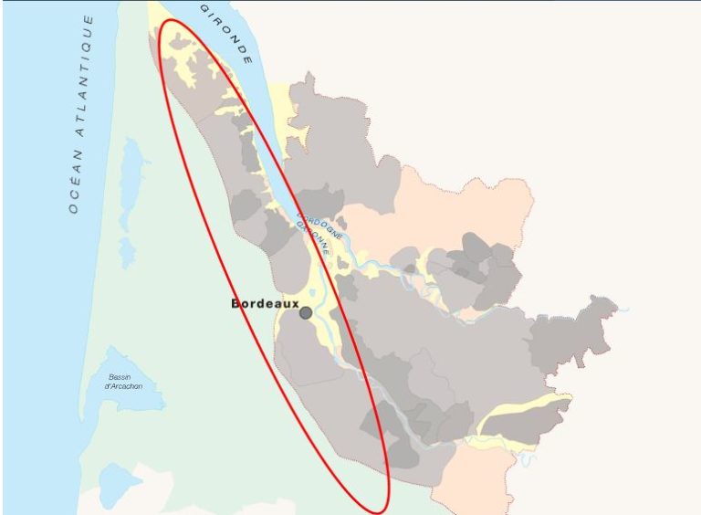 LES CÉPAGES DE LA RIVE GAUCHE DE BORDEAUX