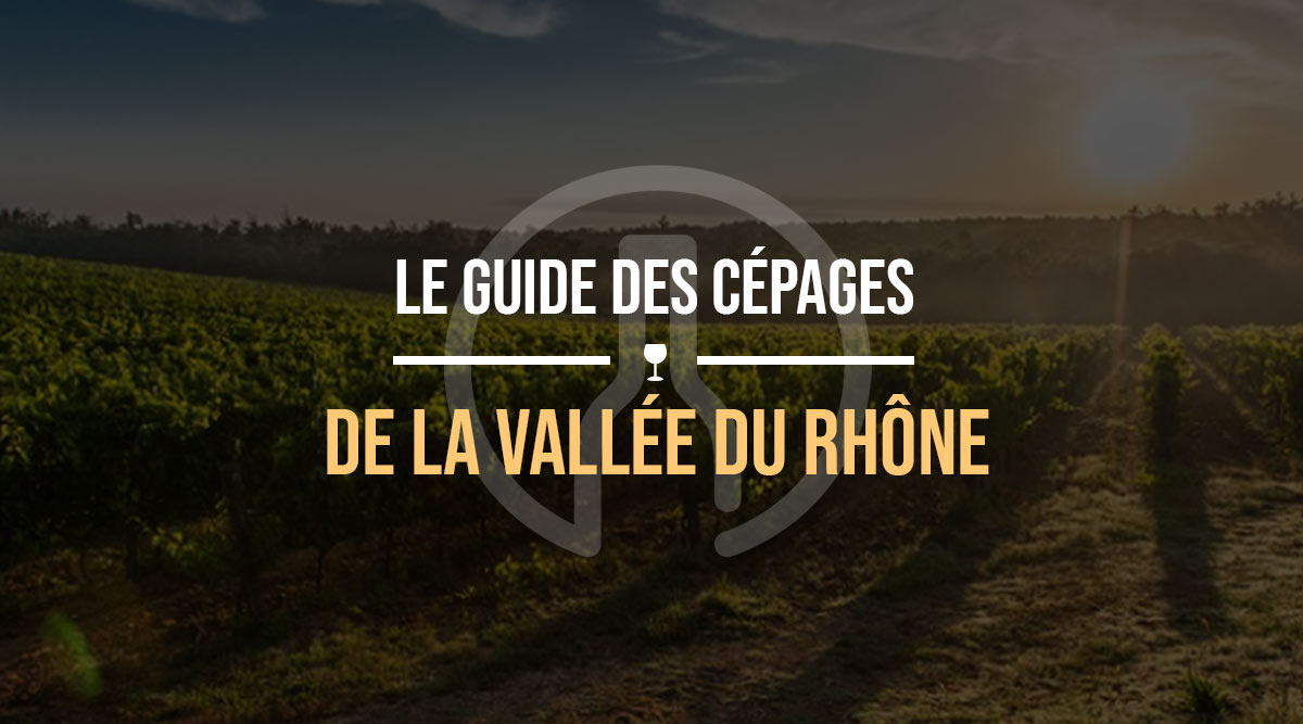 cépage-rhone