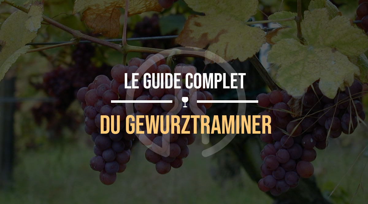 le-guide-du-gewurztraminer