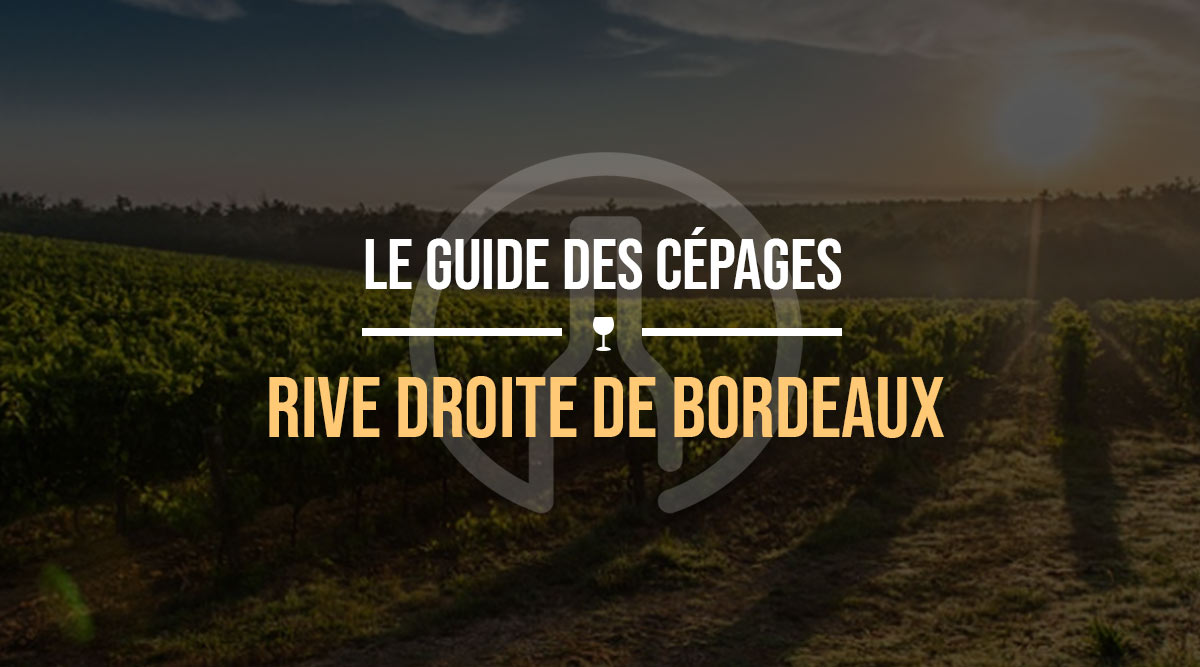 rive-droite-bordeaux cepages