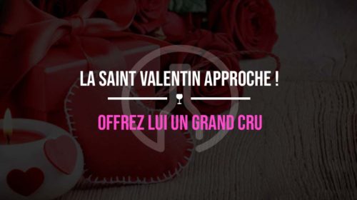 SAINT-VALENTIN-CADEAU-2021-VIN