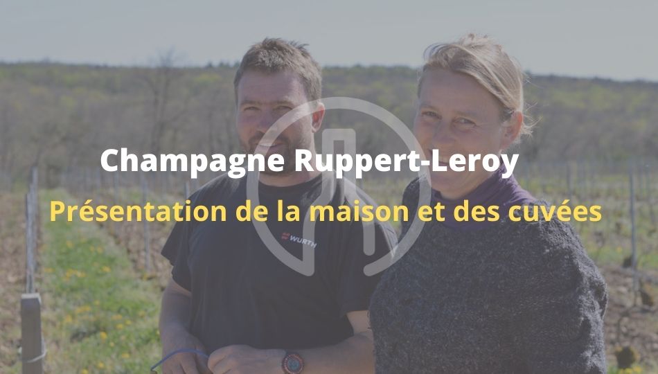 ruppert leroy-guide-vin