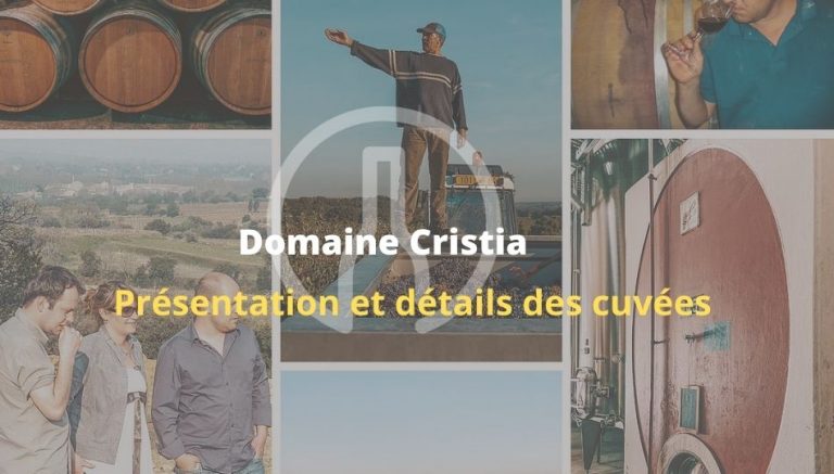 meilleur vin cristia