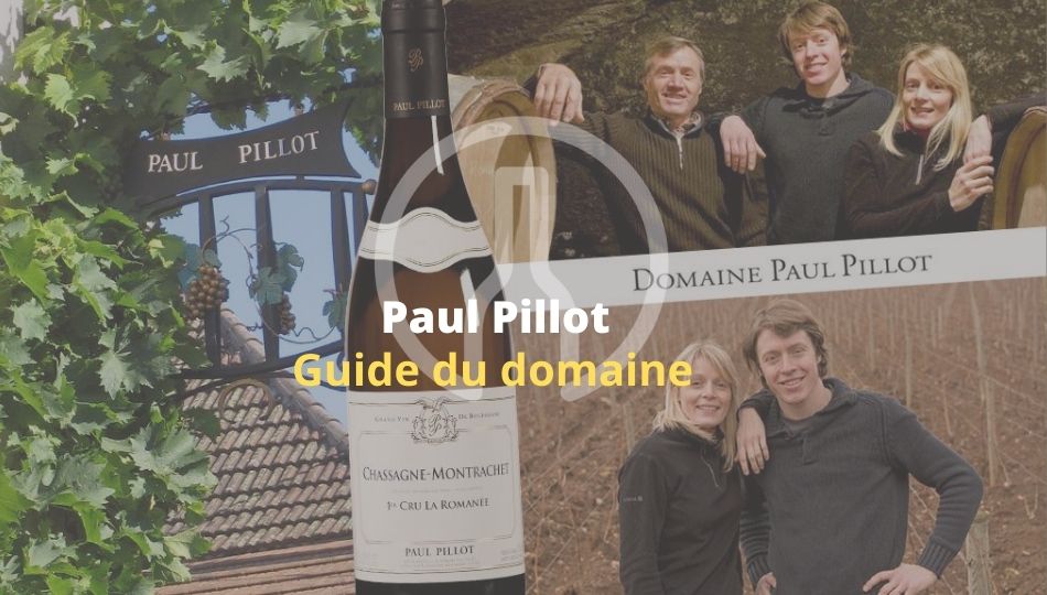 Paul Pillot-Guide-Vin