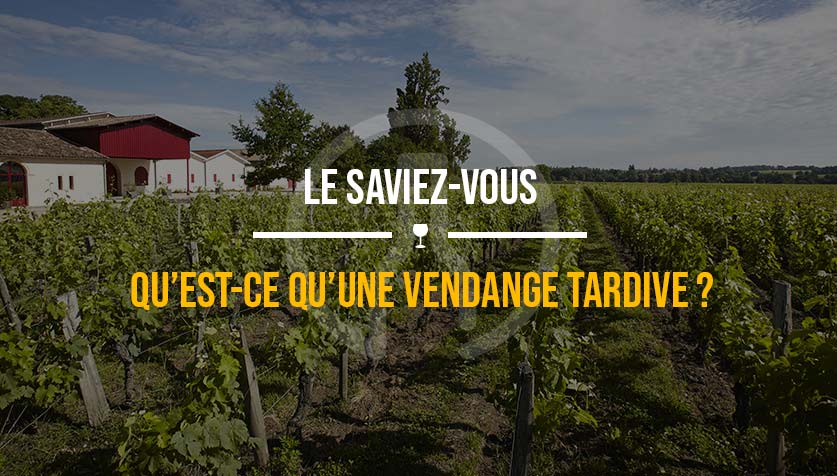 VENDANGE-TARDIVE-GUIDE