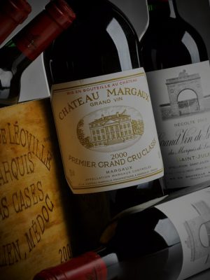 1981 guide vin