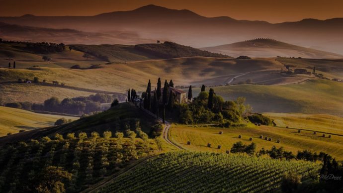 2011 guide vin