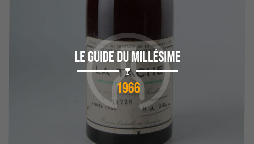 vin-1966-guide