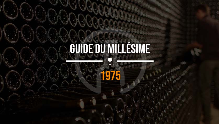 avis vin millesime 1975