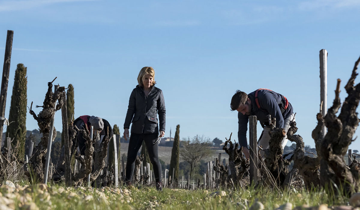 deroulement-millesime-2021-vin-chateauneuf-du-pape