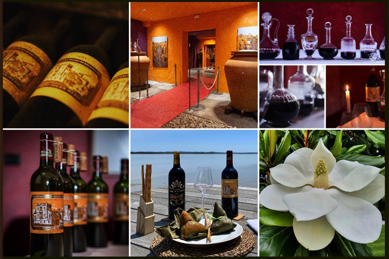 meilleurs-vins-de-saint-julien-classement