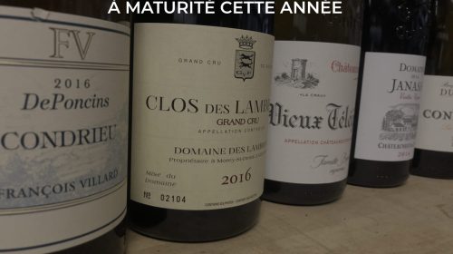 VINS-RHONE-APOGEE-CETTE-ANNEE