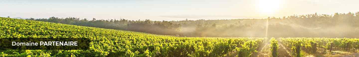 Domaine Charvin Domaine Charvin