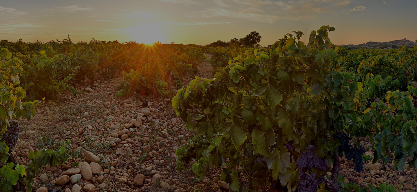 grand vin français