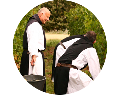 Abbaye de Lerins vente en direct producteur