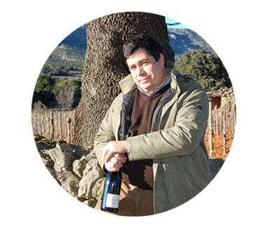 Grands vins Clos des Fées en direct producteur