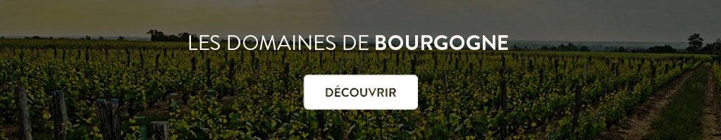 Sélection de grands millésimes de Bourgogne