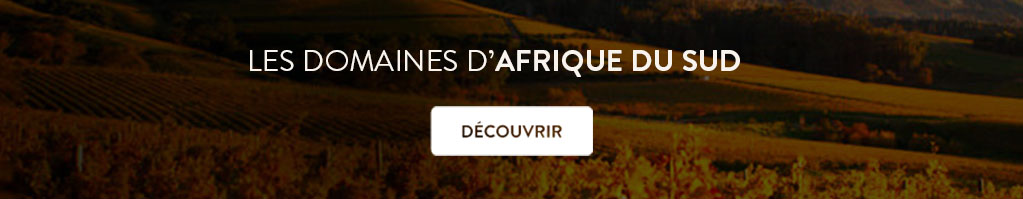 Afrique du sud vins en direct producteur