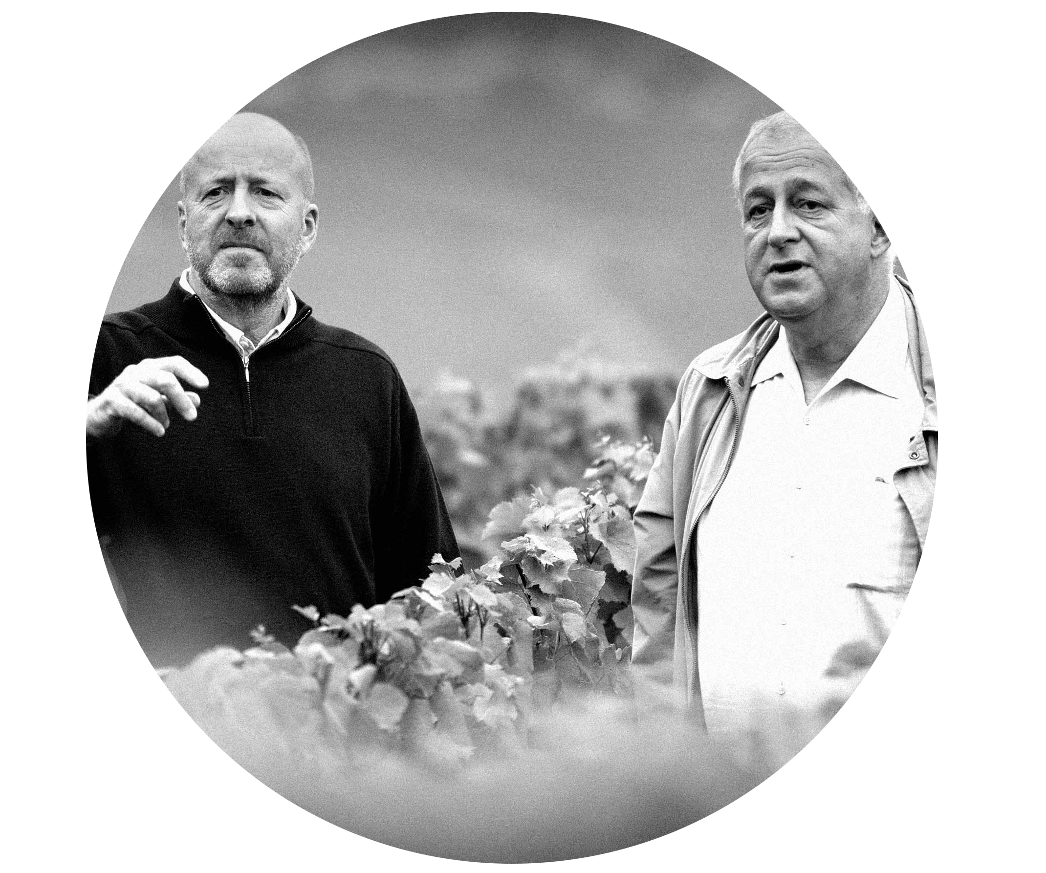 Champagne Jacquesson en direct producteur