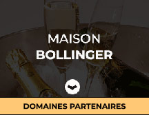 Champagne-notés-plus-de-95