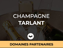 champagne tarlant